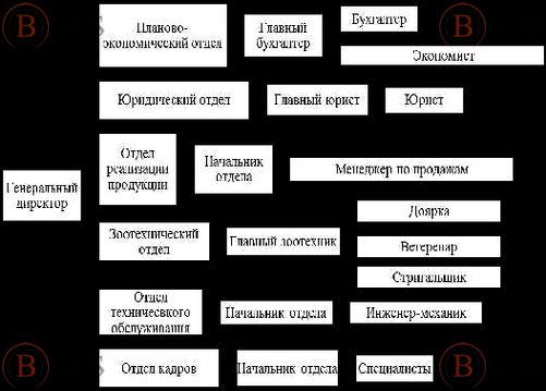 руководитель планово-экономического отдела