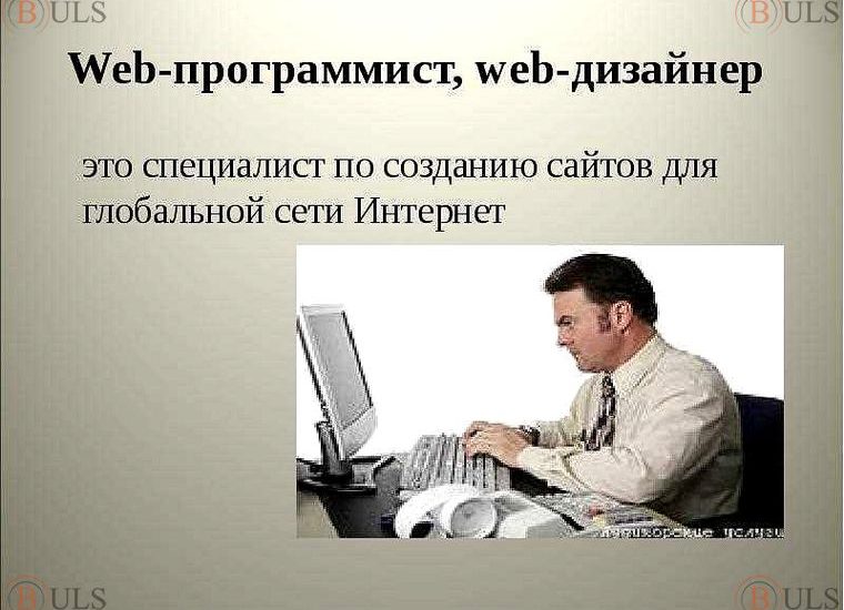 руководитель web-разработки