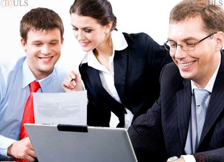 senior consultant