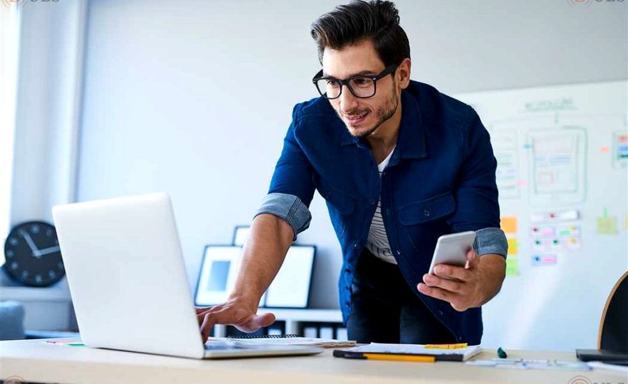 senior lead .NET developer