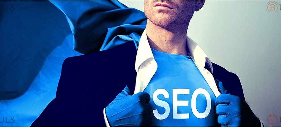 senior SEO specialist