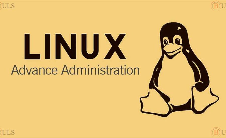 системный администратор Linux (Unix)