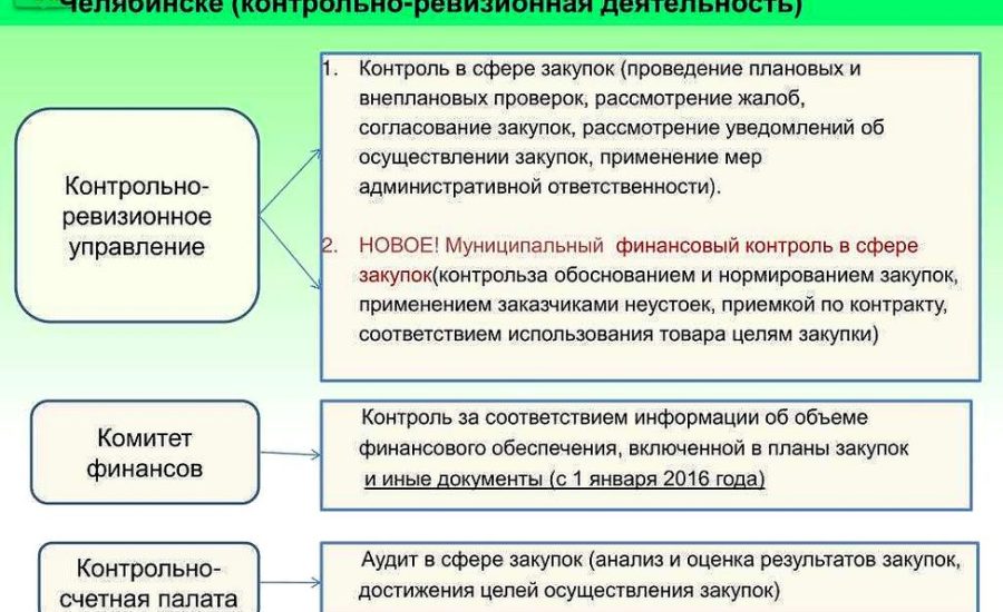 специалист контрольно-ревизионного отдела