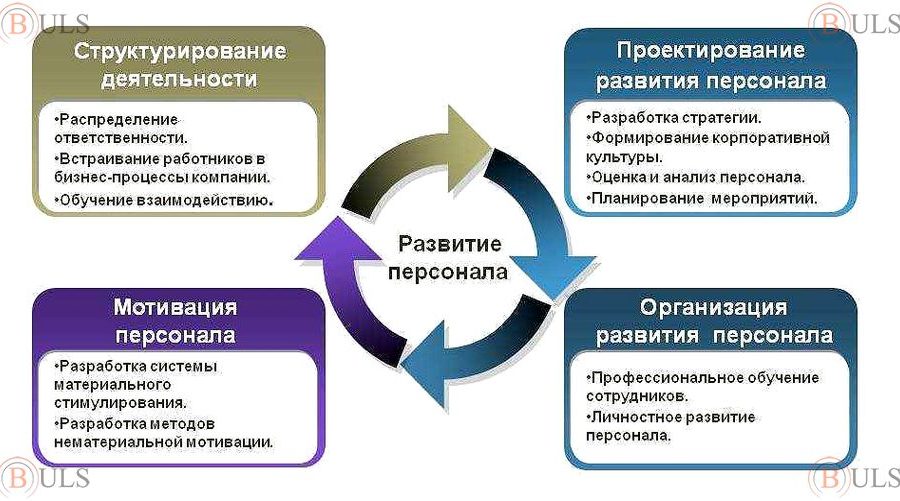 специалист отдела обучения и развития персонала