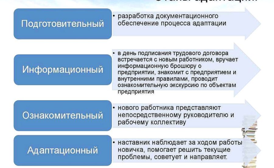 специалист по адаптации персонала