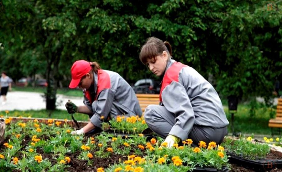 специалист по благоустройству