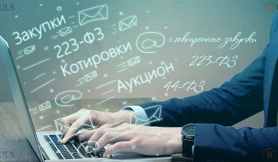 специалист по государственным закупкам