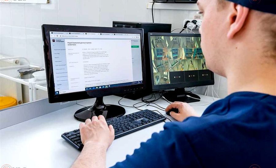 специалист по мониторингу СМИ