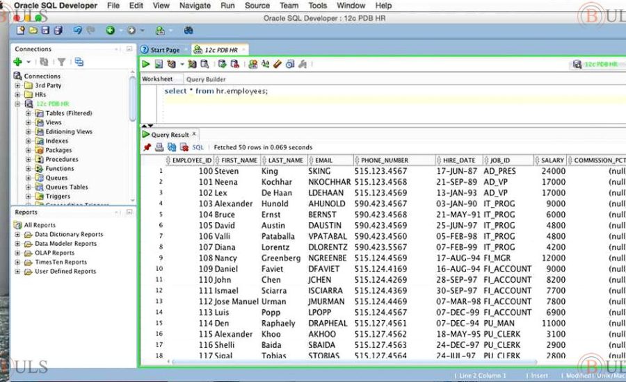 SQL developer