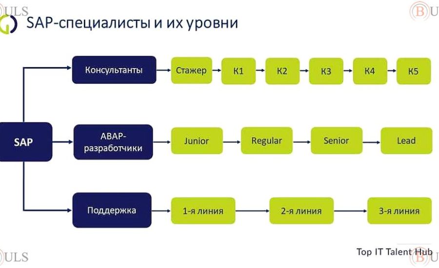 старший консультант SAP BW