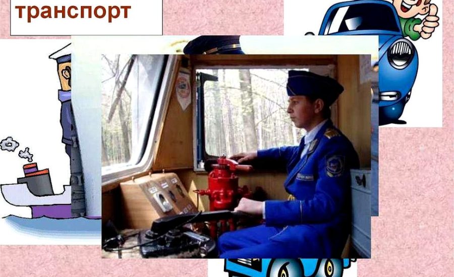 старший менеджер по транспорту