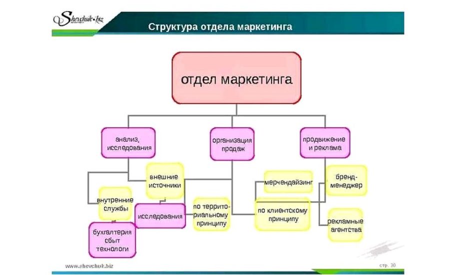 старший специалист отдела маркетинга