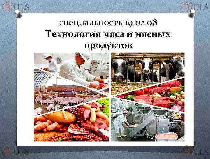 технолог мясного цеха