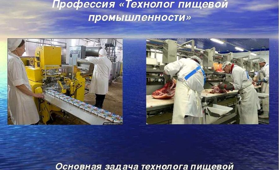 технолог мясоперерабатывающего производства