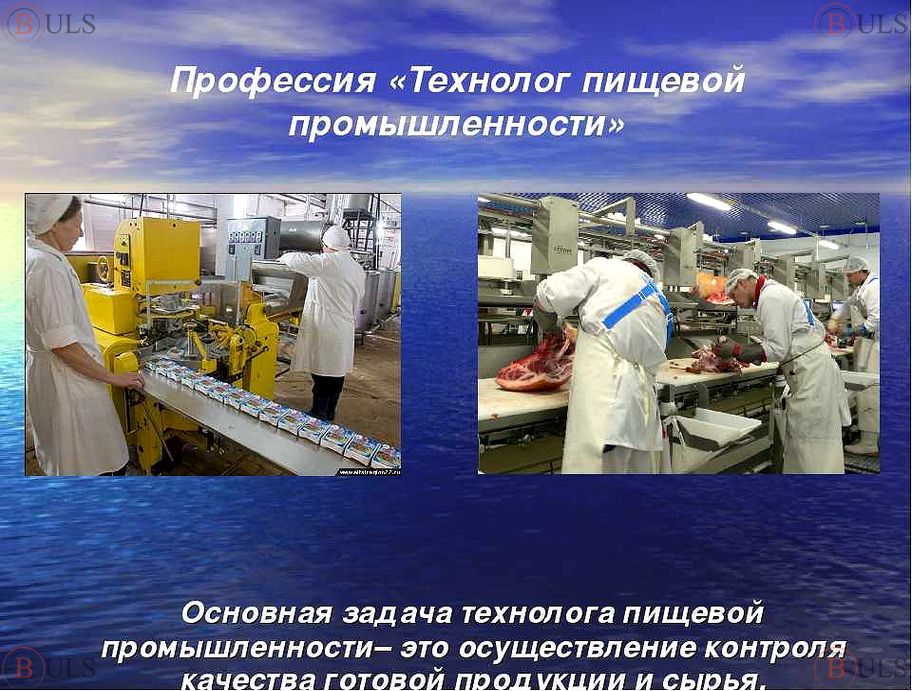 Профессии связанные с производством и обработкой пищевых
