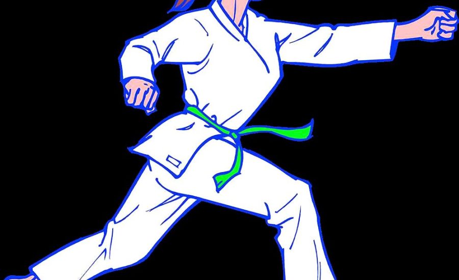 тренер по каратэ